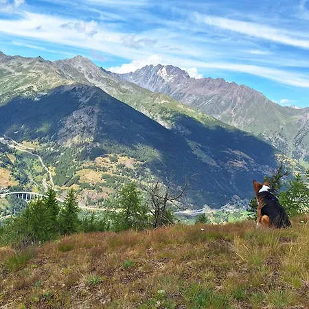 度假居 La Vieille Cloche *